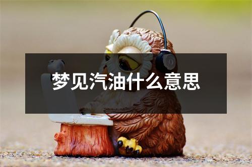 梦见汽油什么意思