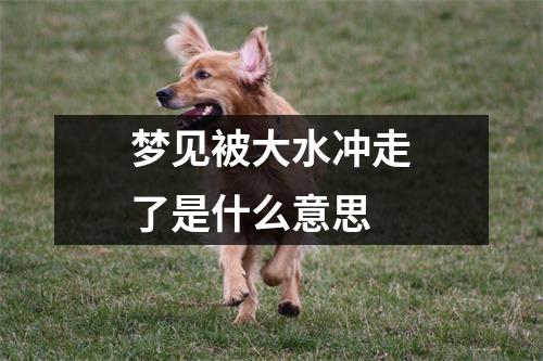 梦见被大水冲走了是什么意思