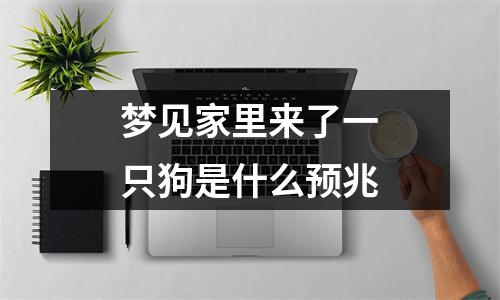 梦见家里来了一只狗是什么预兆