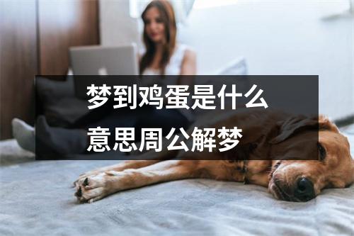 梦到鸡蛋是什么意思周公解梦