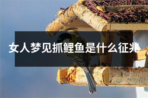 女人梦见抓鲤鱼是什么征兆