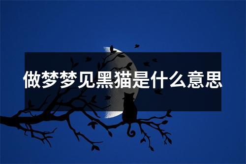 做梦梦见黑猫是什么意思