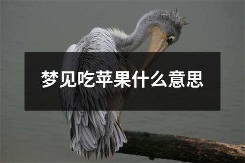 梦见吃苹果什么意思