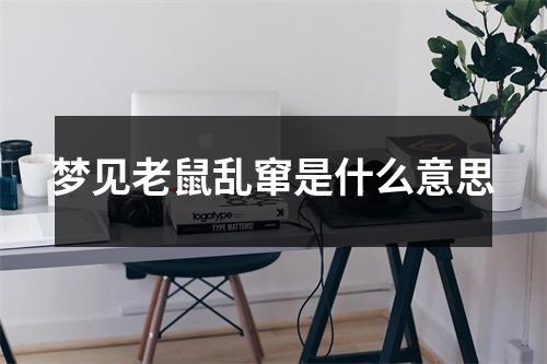 梦见老鼠乱窜是什么意思