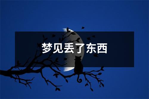 梦见丢了东西