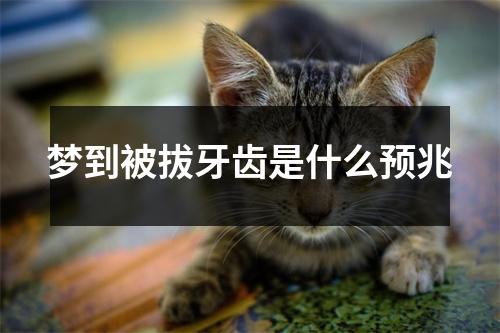 梦到被拔牙齿是什么预兆