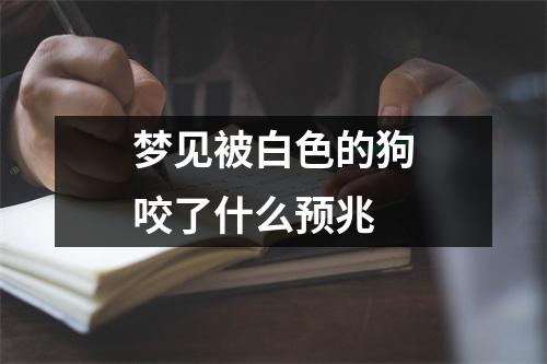 梦见被白色的狗咬了什么预兆