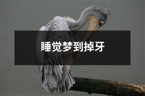 睡觉梦到掉牙