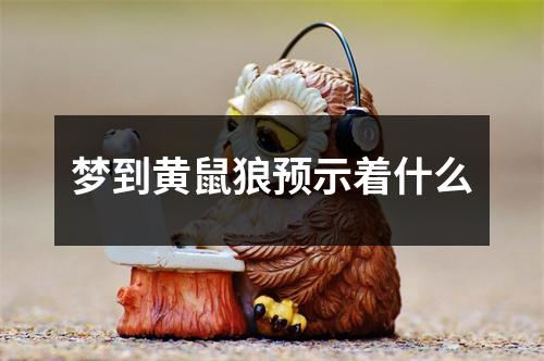 梦到黄鼠狼预示着什么