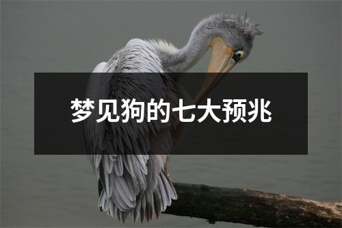 梦见狗的七大预兆