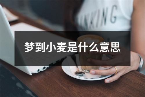 梦到小麦是什么意思