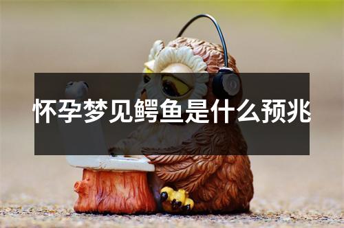 怀孕梦见鳄鱼是什么预兆