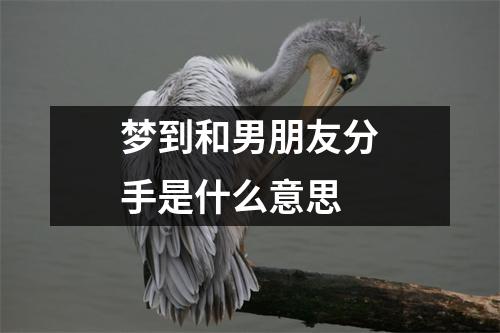 梦到和男朋友分手是什么意思