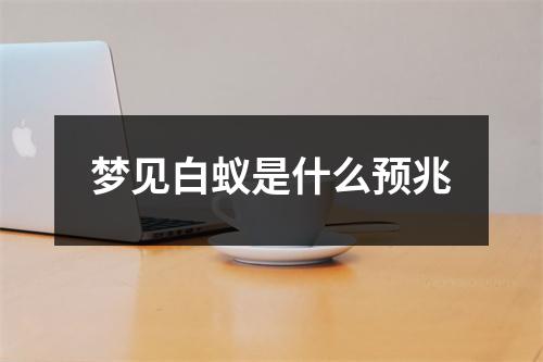 梦见白蚁是什么预兆