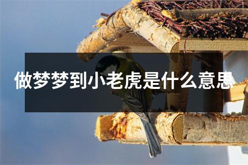 做梦梦到小老虎是什么意思