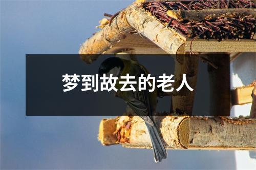 梦到故去的老人