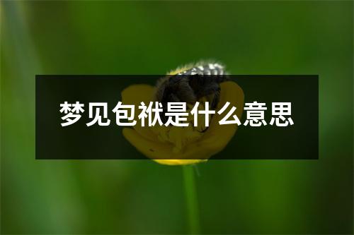 梦见包袱是什么意思