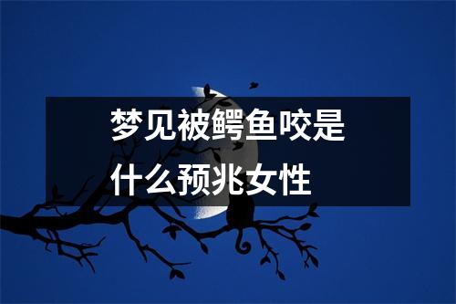 梦见被鳄鱼咬是什么预兆女性