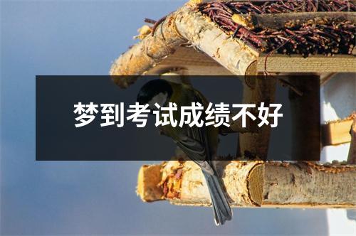 梦到考试成绩不好