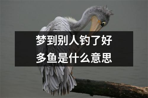 梦到别人钓了好多鱼是什么意思