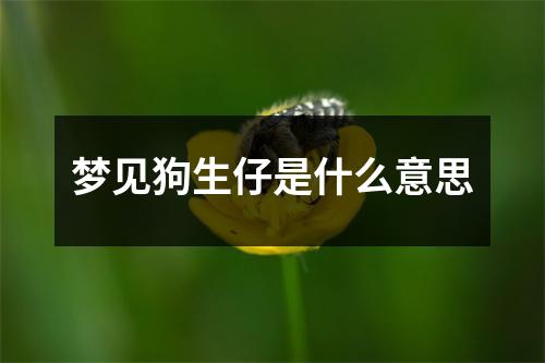 梦见狗生仔是什么意思