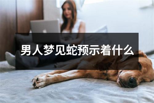 男人梦见蛇预示着什么