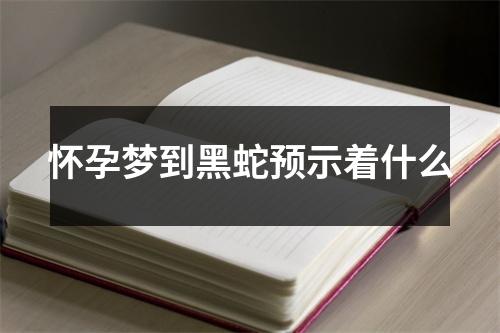 怀孕梦到黑蛇预示着什么