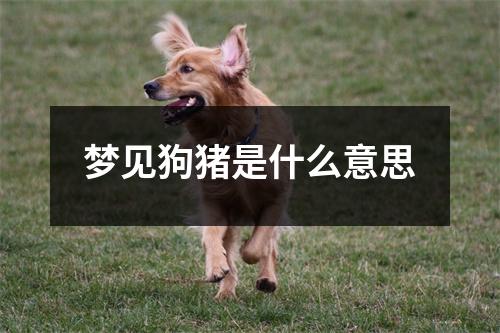 梦见狗猪是什么意思