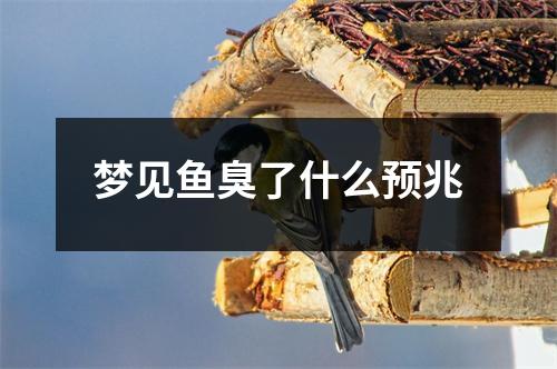 梦见鱼臭了什么预兆