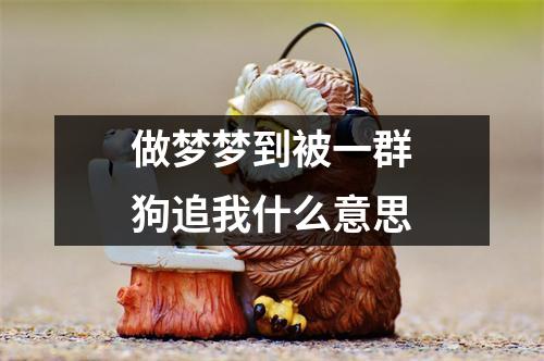 做梦梦到被一群狗追我什么意思