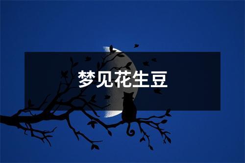 梦见花生豆