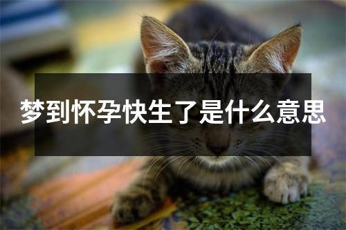 梦到怀孕快生了是什么意思