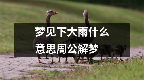 梦见下大雨什么意思周公解梦