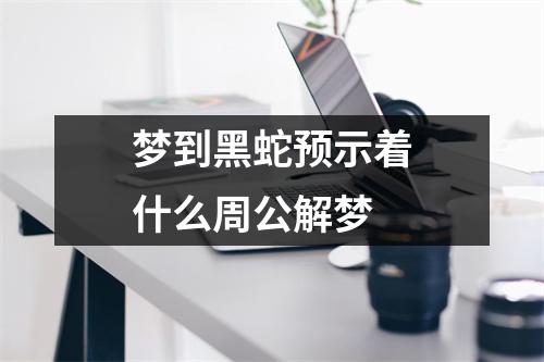 梦到黑蛇预示着什么周公解梦