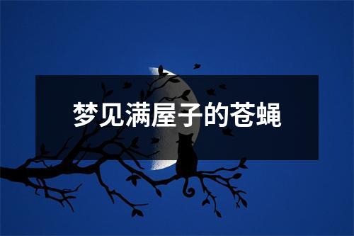 梦见满屋子的苍蝇