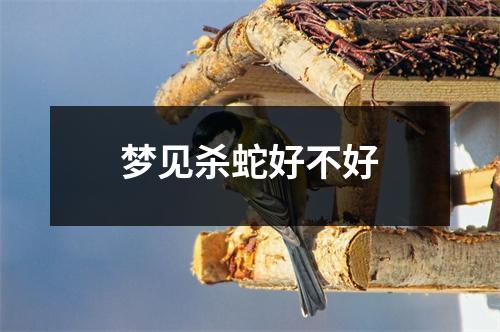 梦见杀蛇好不好