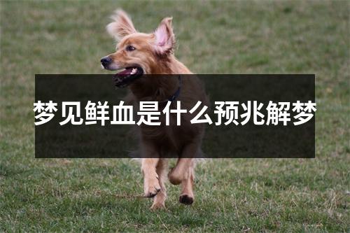 梦见鲜血是什么预兆解梦