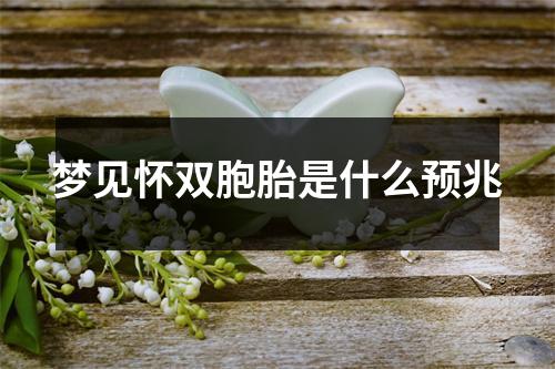 梦见怀双胞胎是什么预兆