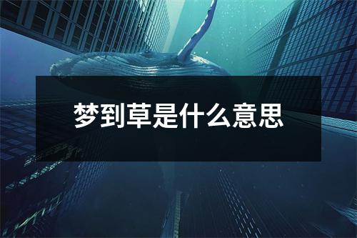 梦到草是什么意思