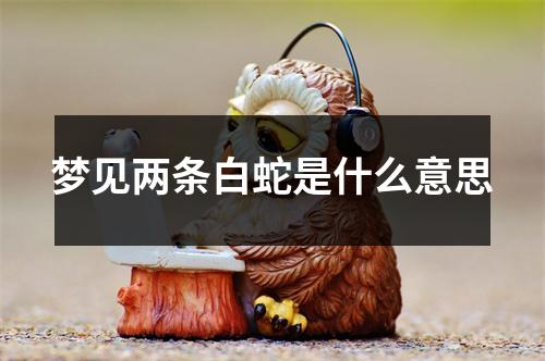 梦见两条白蛇是什么意思