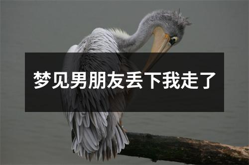 梦见男朋友丢下我走了