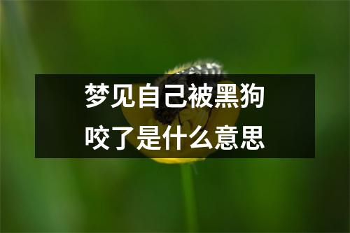 梦见自己被黑狗咬了是什么意思