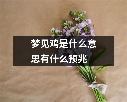 梦见鸡是什么意思有什么预兆