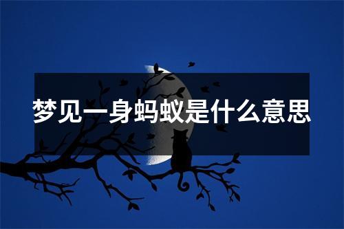 梦见一身蚂蚁是什么意思