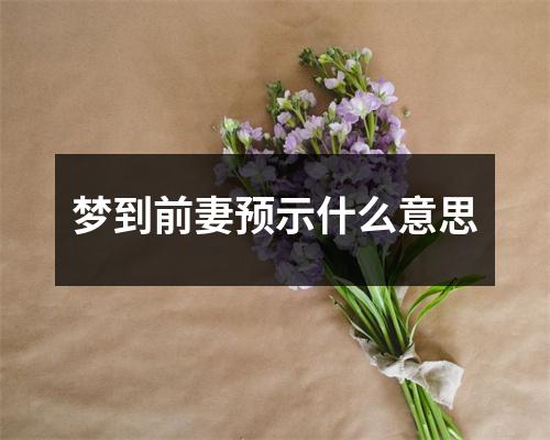 梦到前妻预示什么意思