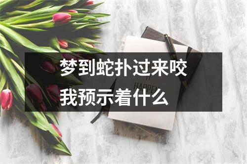 梦到蛇扑过来咬我预示着什么