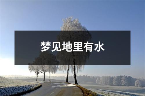 梦见地里有水