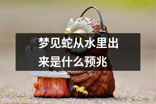 梦见蛇从水里出来是什么预兆