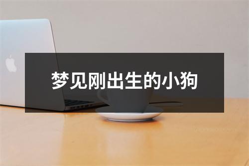 梦见刚出生的小狗