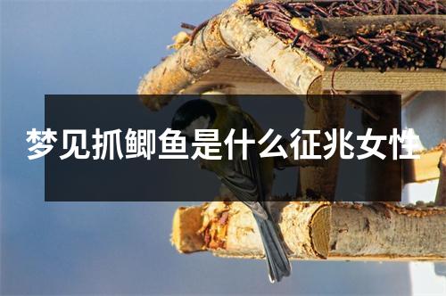 梦见抓鲫鱼是什么征兆女性